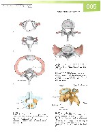 Sobotta  Atlas of Human Anatomy  Trunk, Viscera,Lower Limb Volume2 2006, page 12